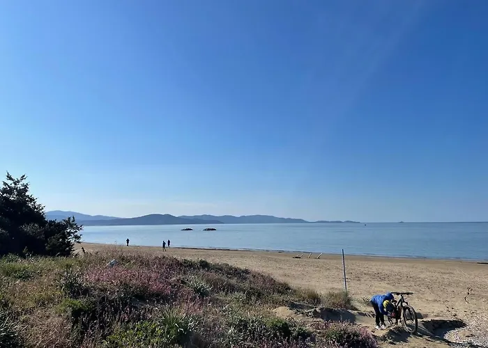 Lovely Near The * Follonica